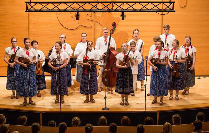 VIII. nesoutěžní přehlídka Talenty regionu