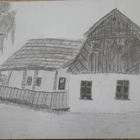 u439.r726.Domek F.L.Věka v Dobrušce.jpg
