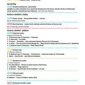 soubor_2_447.pdf.pdf