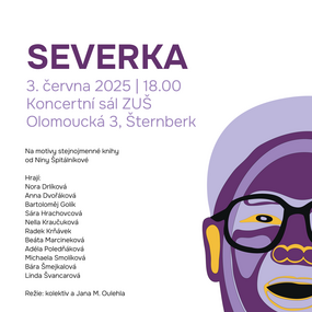 soubor_1_911.pdf.pdf